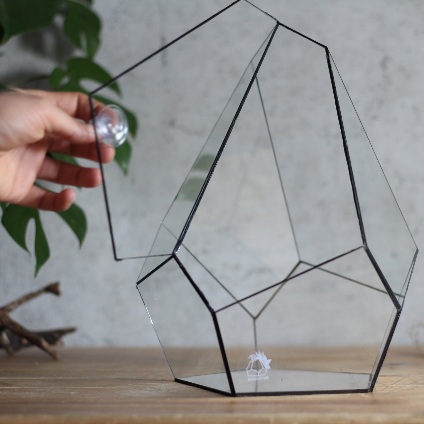 Onyx - Geometric Terrarium