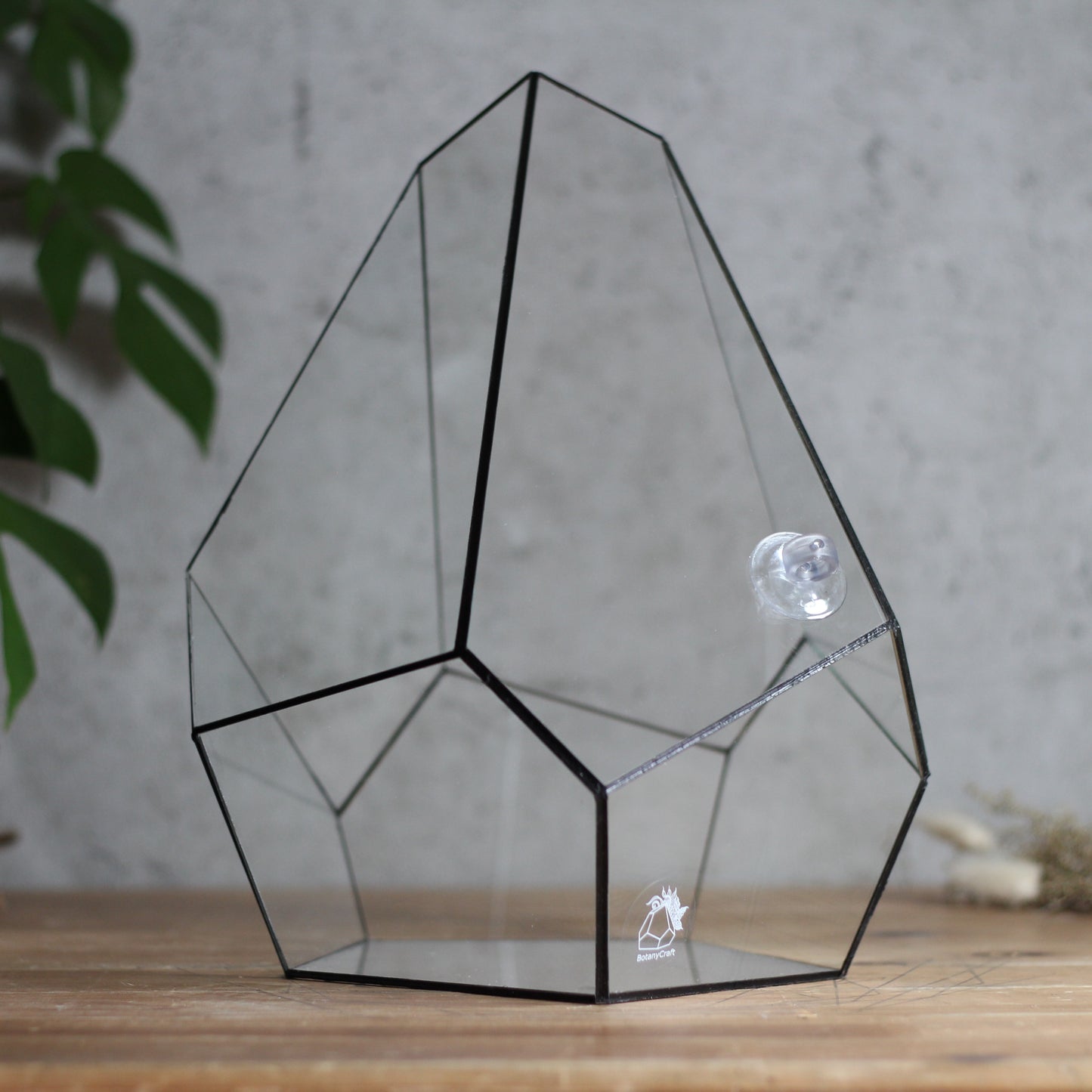 Onyx - Geometric Terrarium