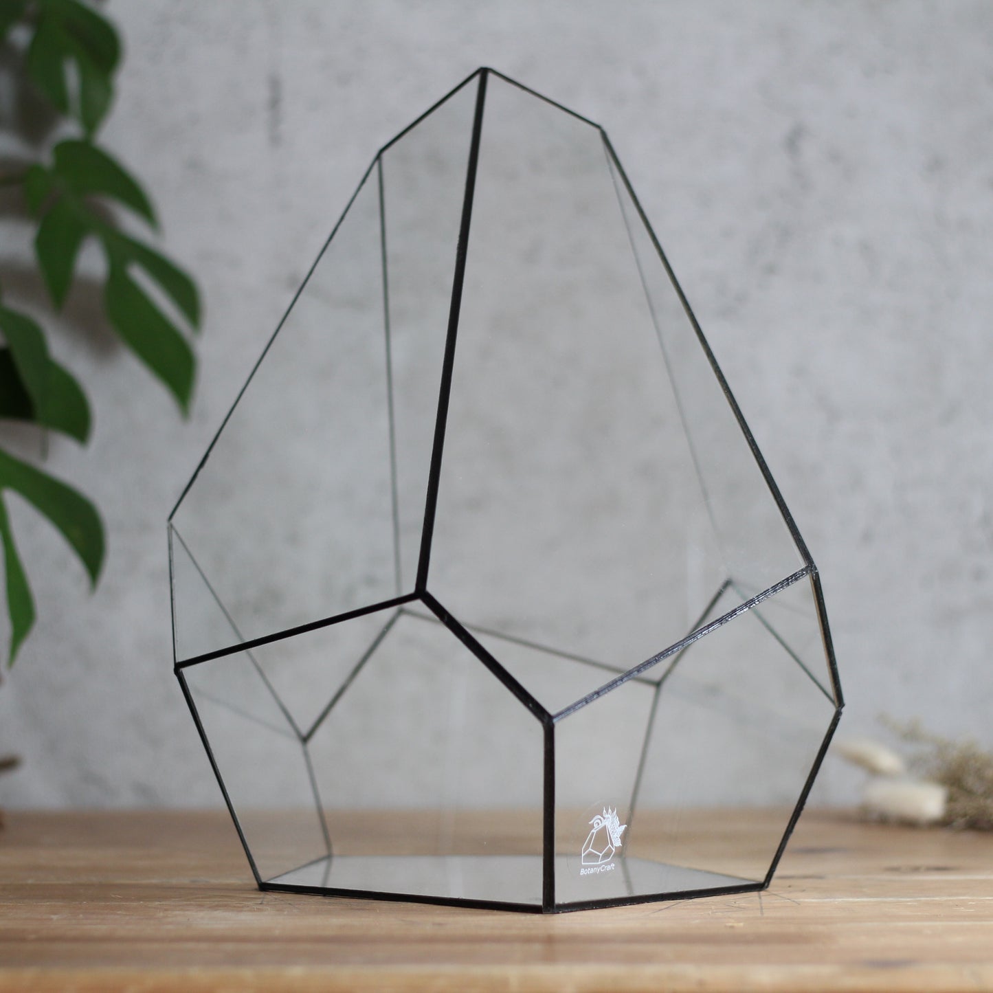 Onyx - Geometric Terrarium