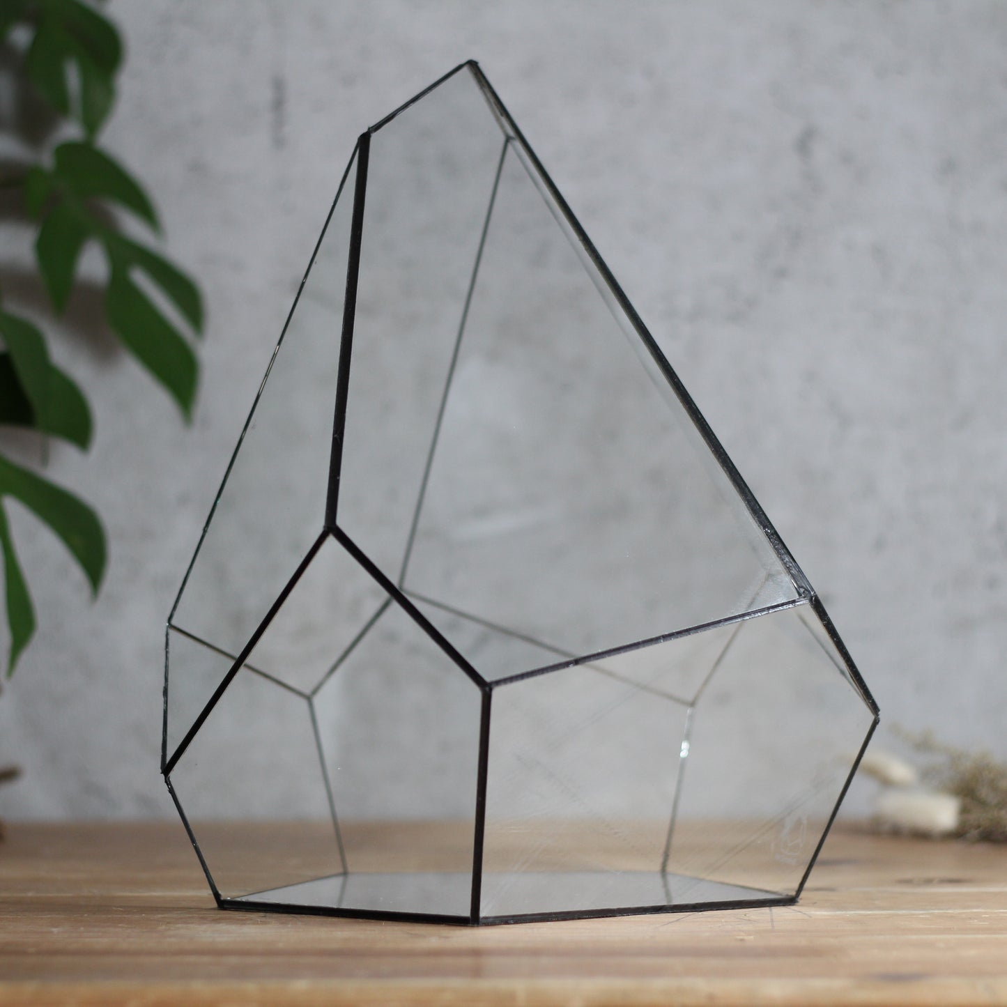 Onyx - Geometric Terrarium