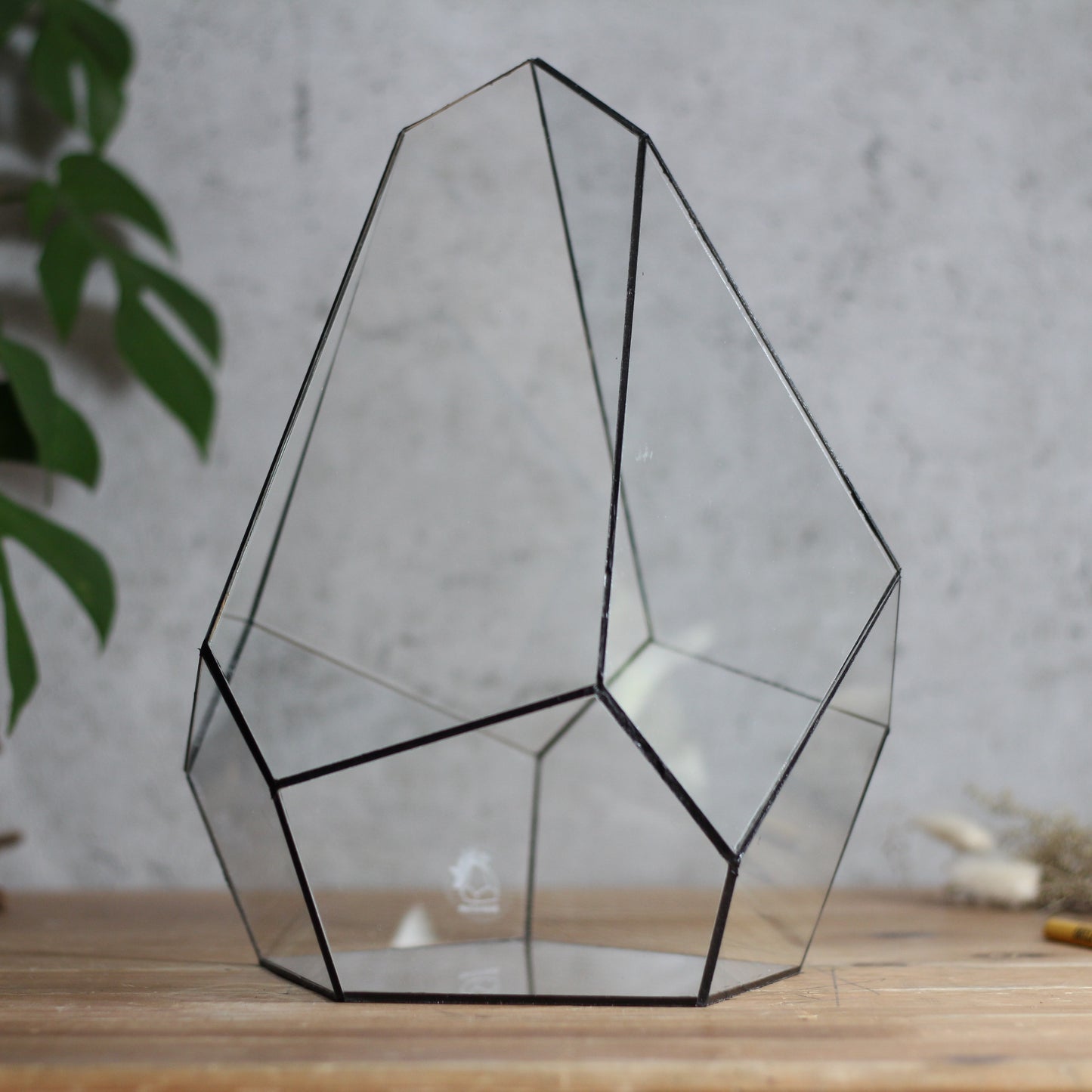 Onyx - Geometric Terrarium