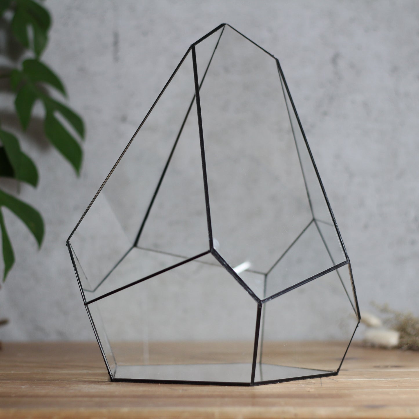 Onyx - Geometric Terrarium