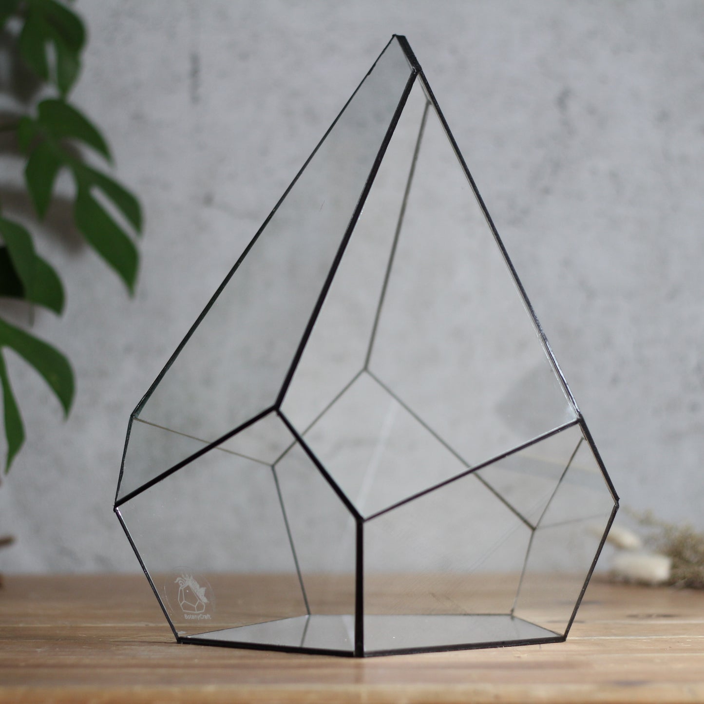 Onyx - Geometric Terrarium