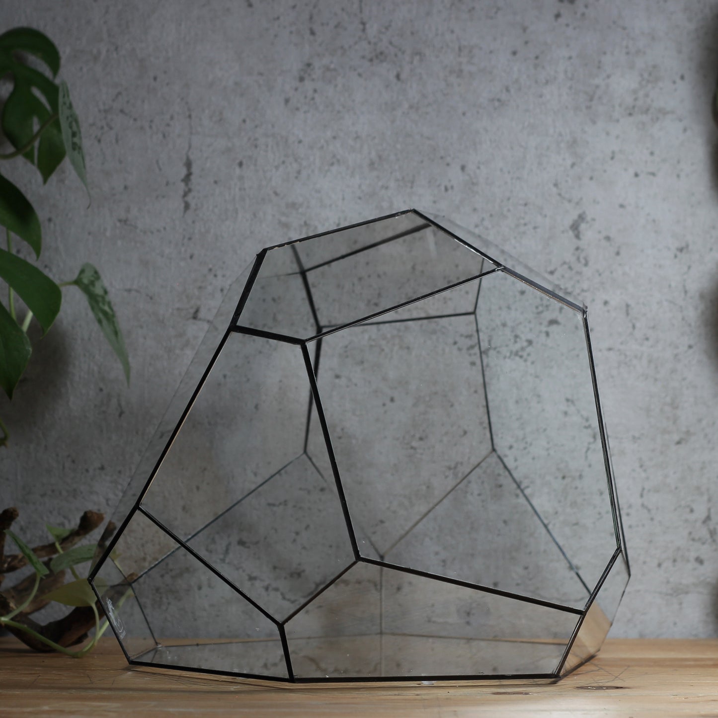 Granite - Geometric Terrarium