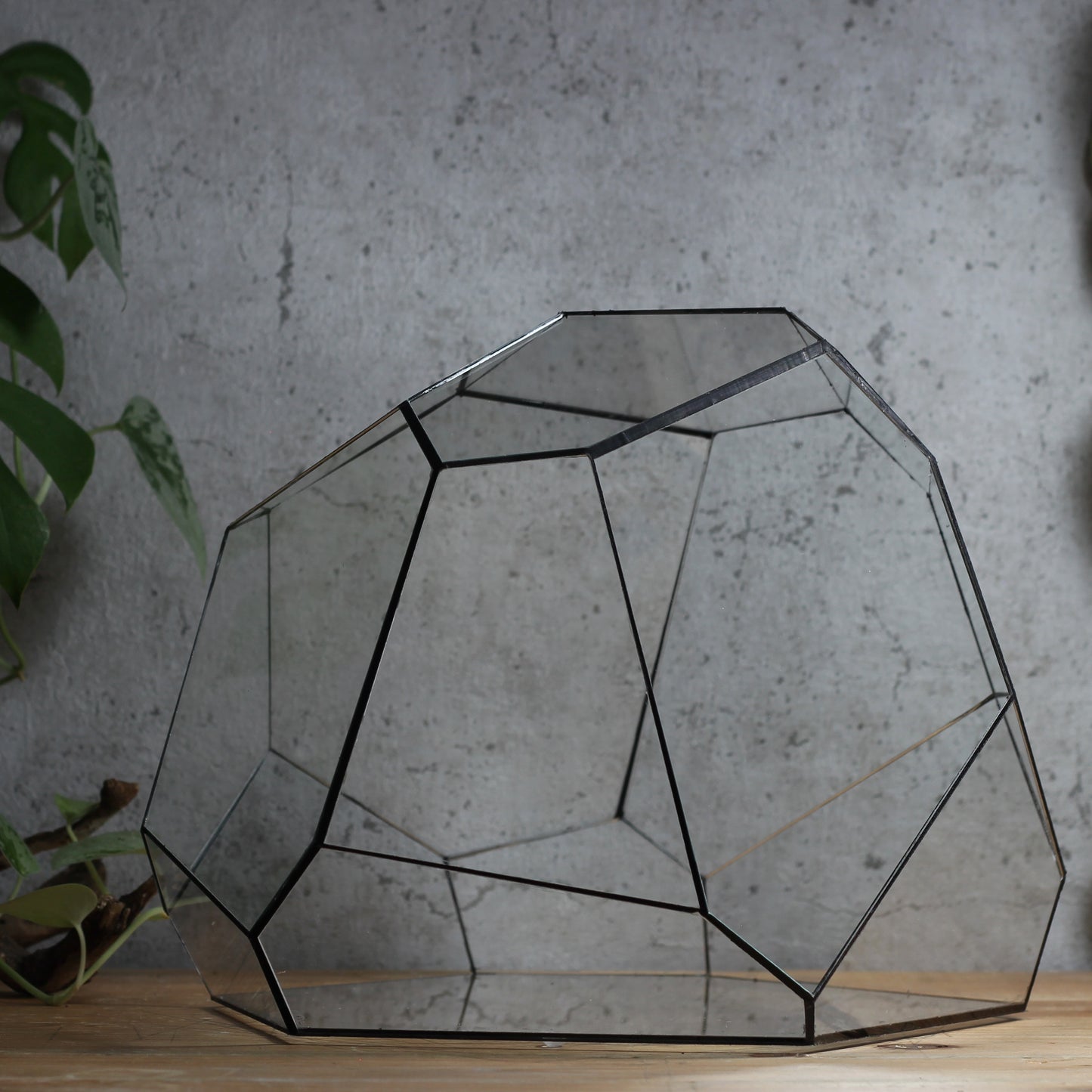 Granite - Geometric Terrarium