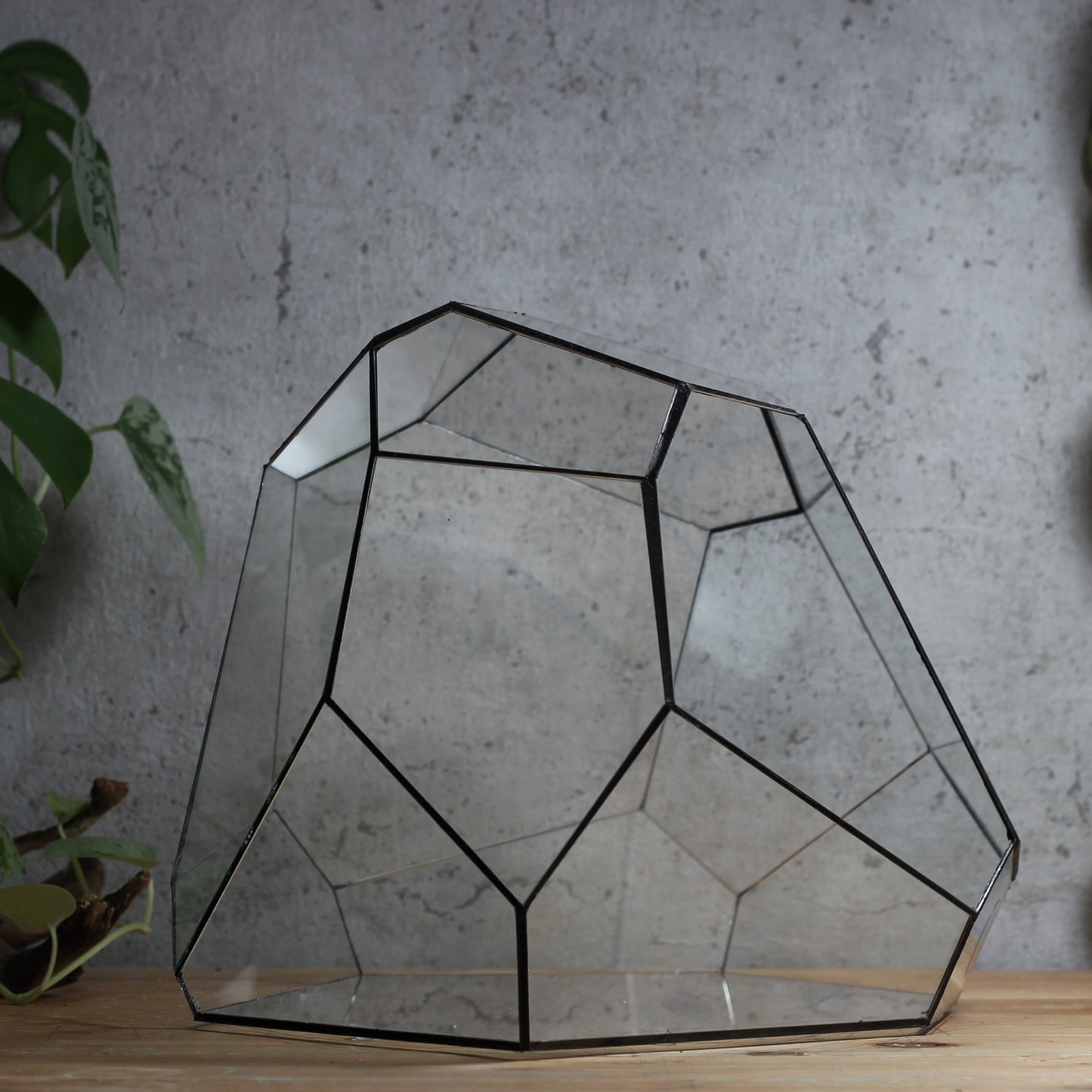 Granite - Geometric Terrarium