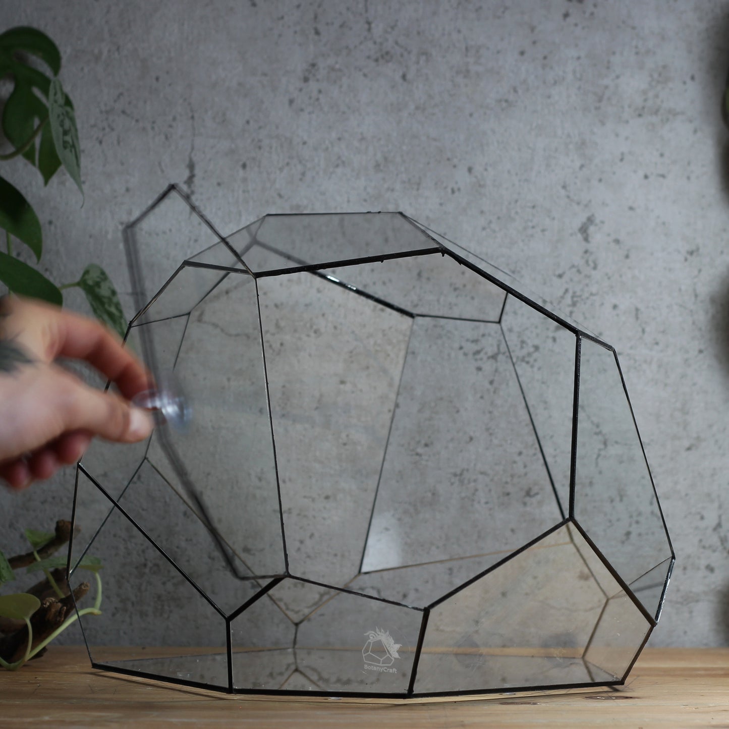 Granite - Geometric Terrarium