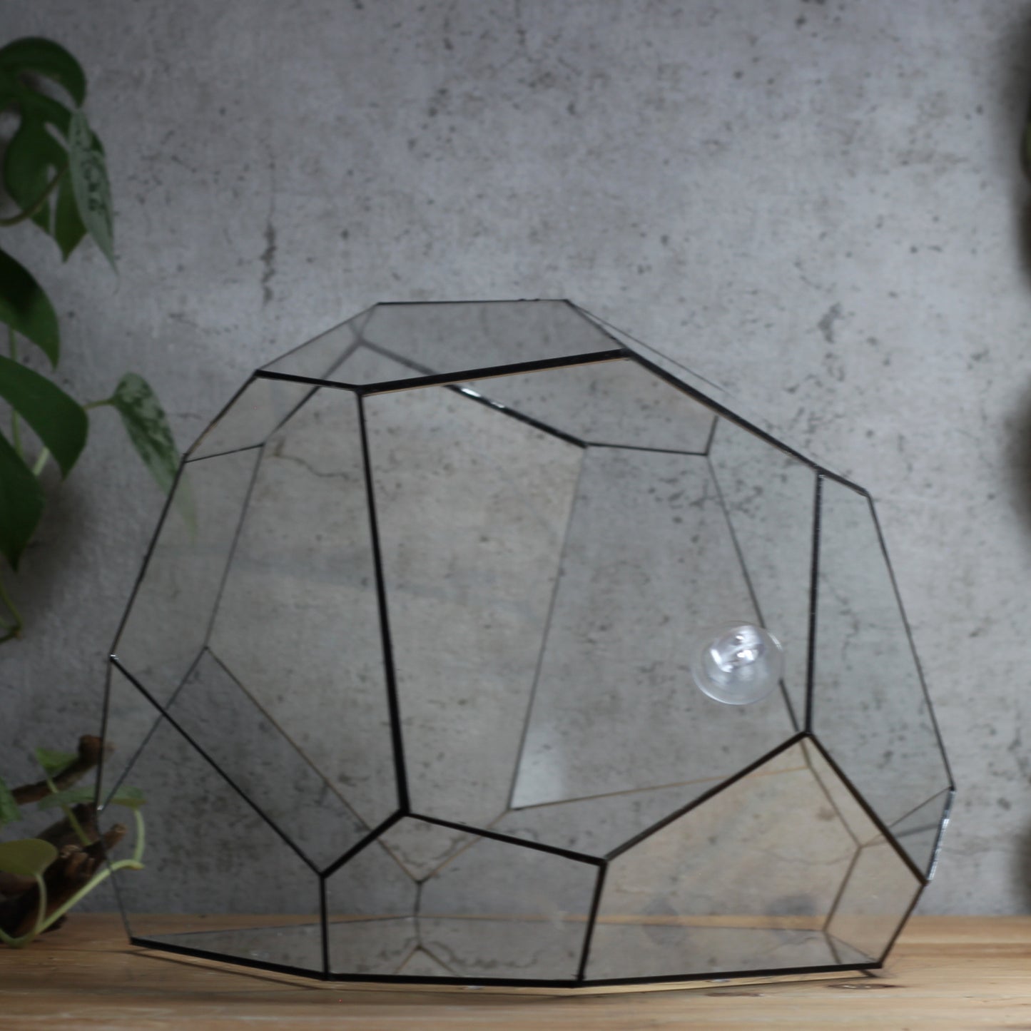 Granite - Geometric Terrarium