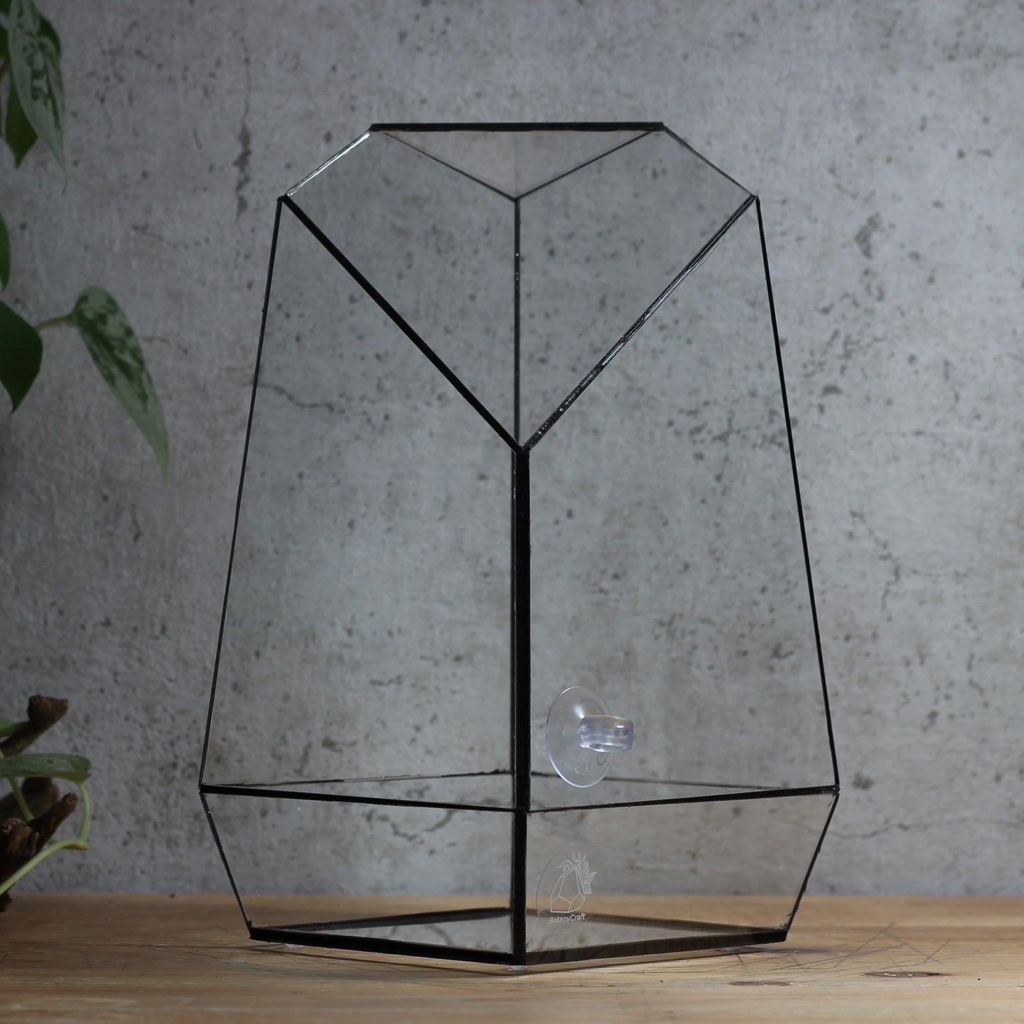 Emerald - Geometric Terrarium