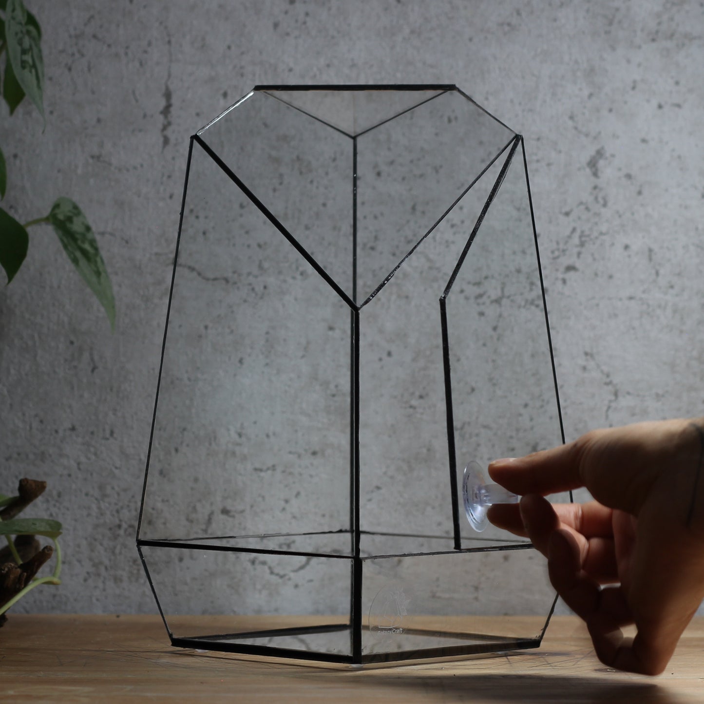 Emerald - Geometric Terrarium