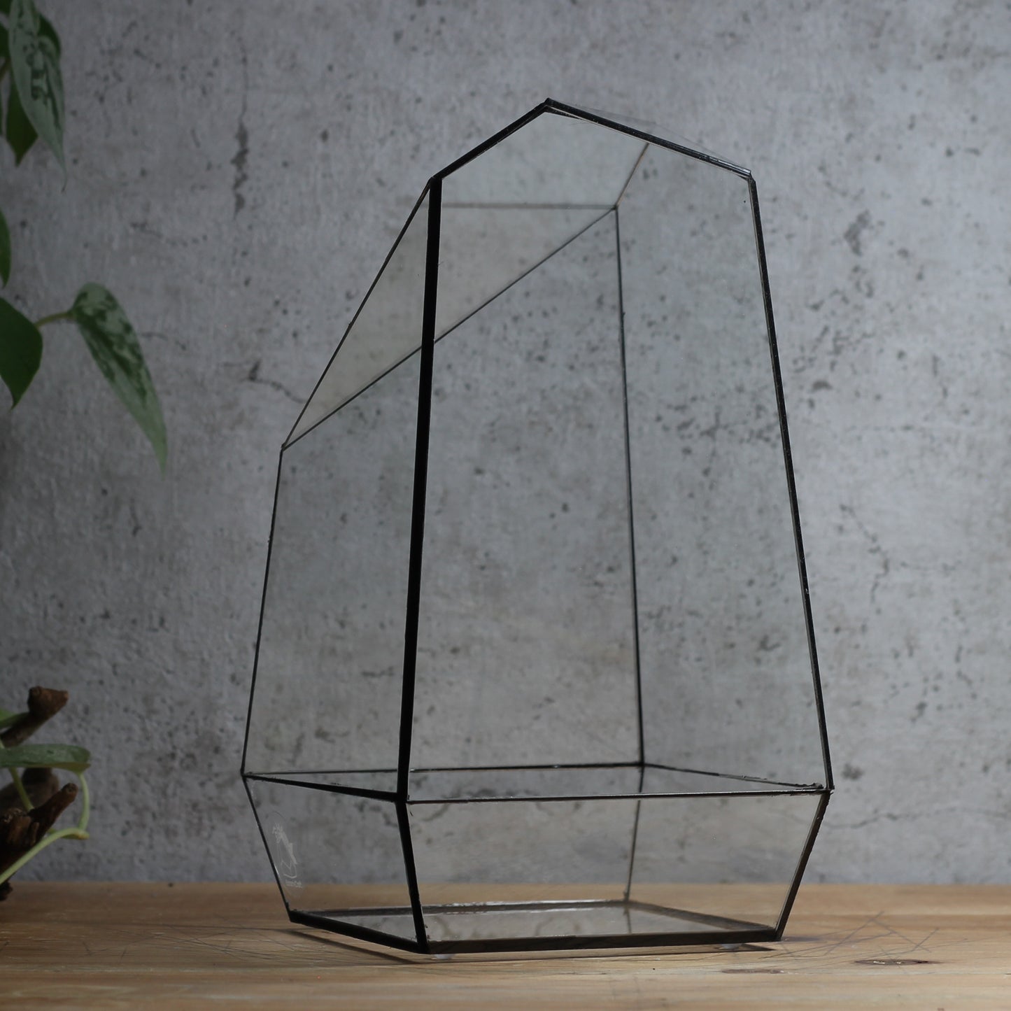 Emerald - Geometric Terrarium