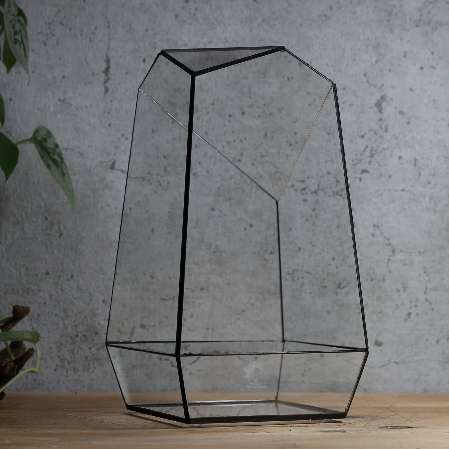 Emerald - Geometric Terrarium