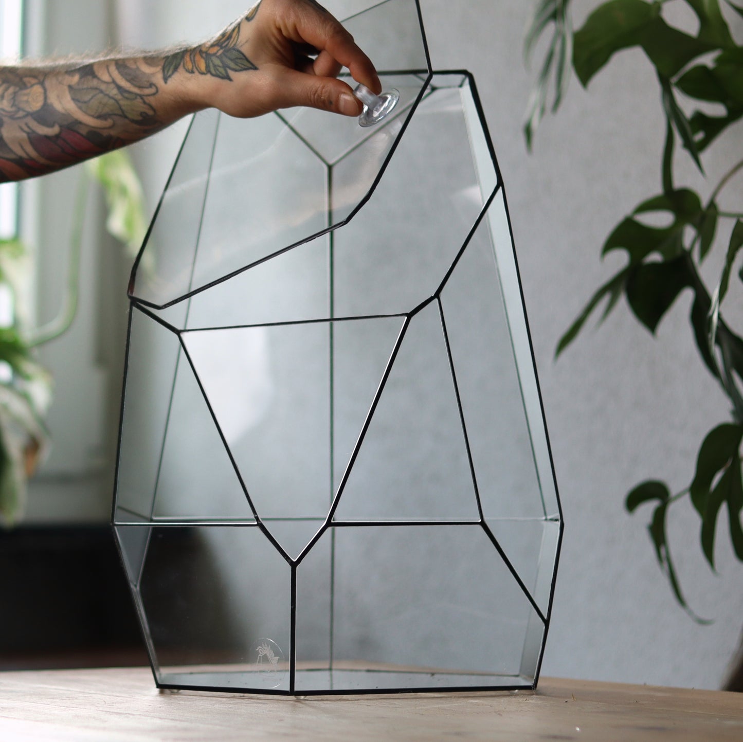 Amber - Geometric terrarium