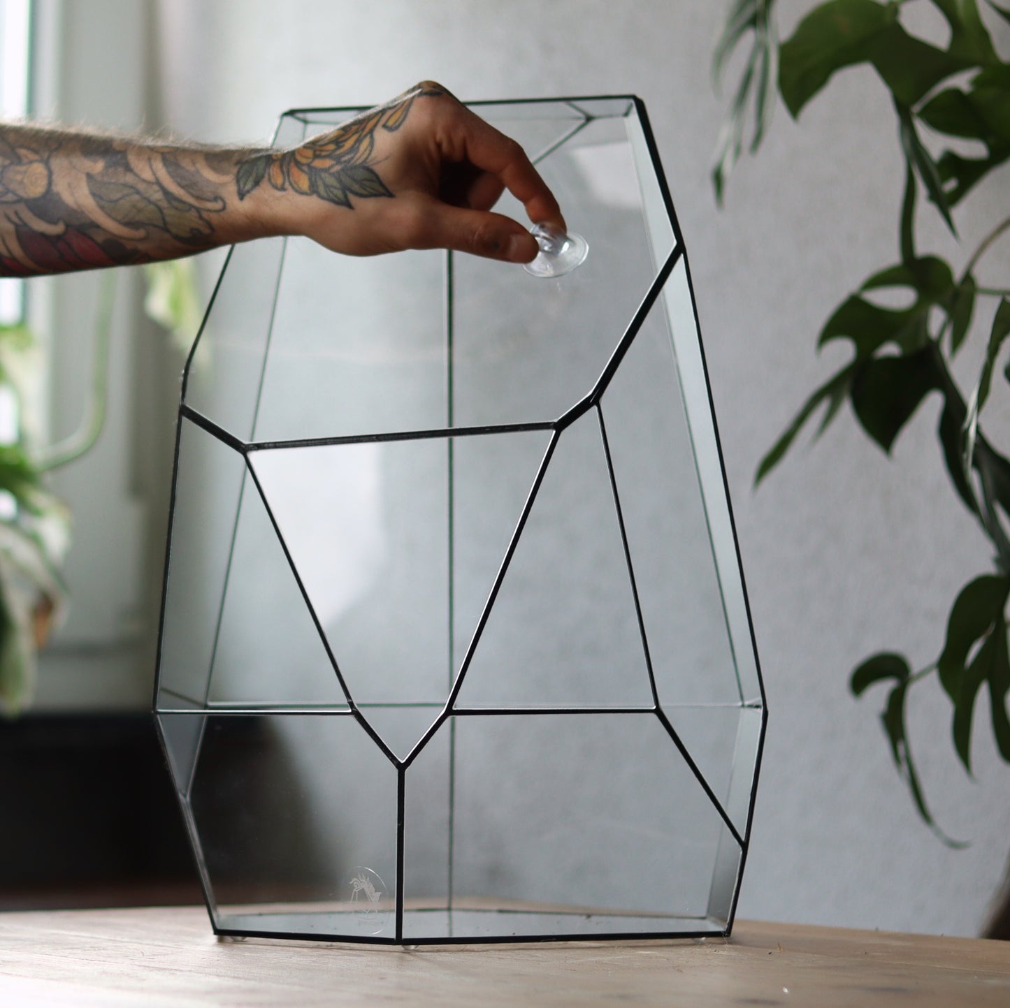 Amber - Geometric terrarium