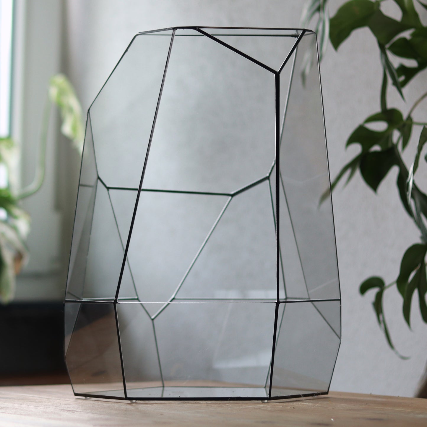 Amber - Geometric terrarium