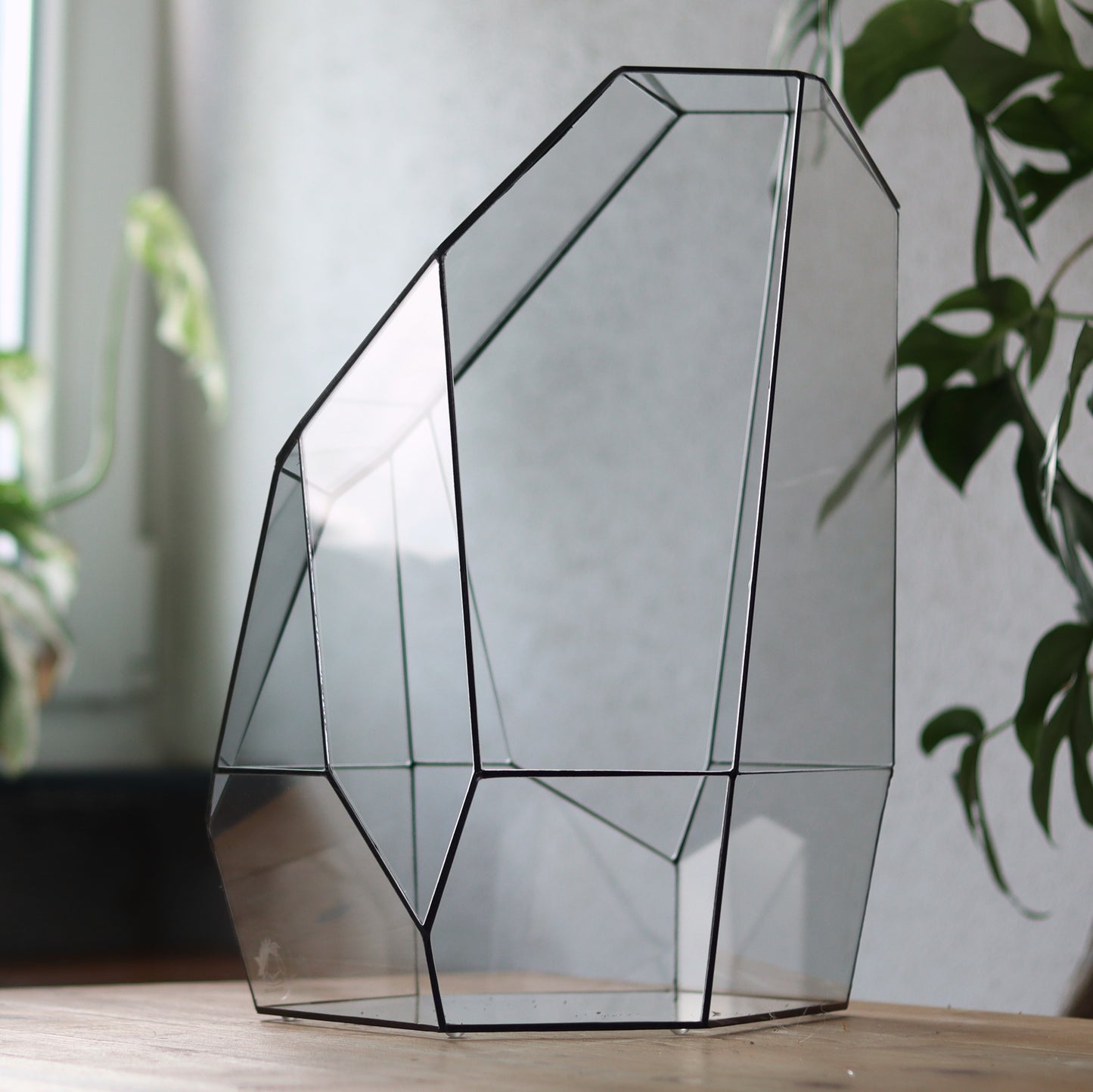 Amber - Geometric terrarium
