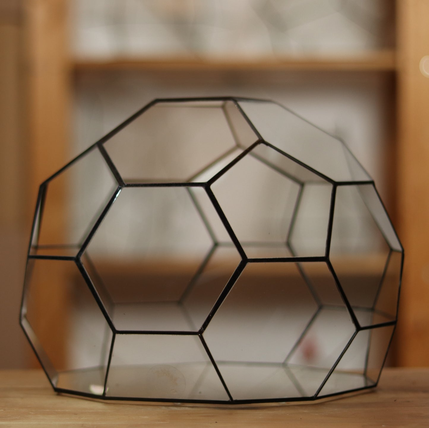 Geodome - Geometric terrarium