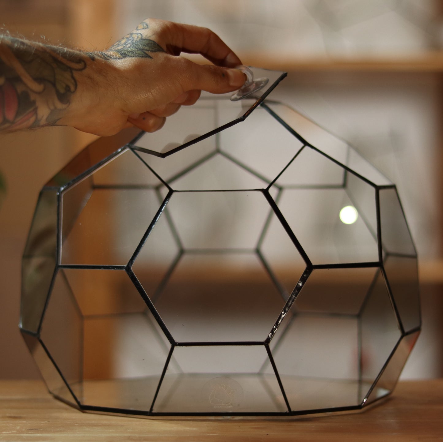 Geodome - Geometric terrarium