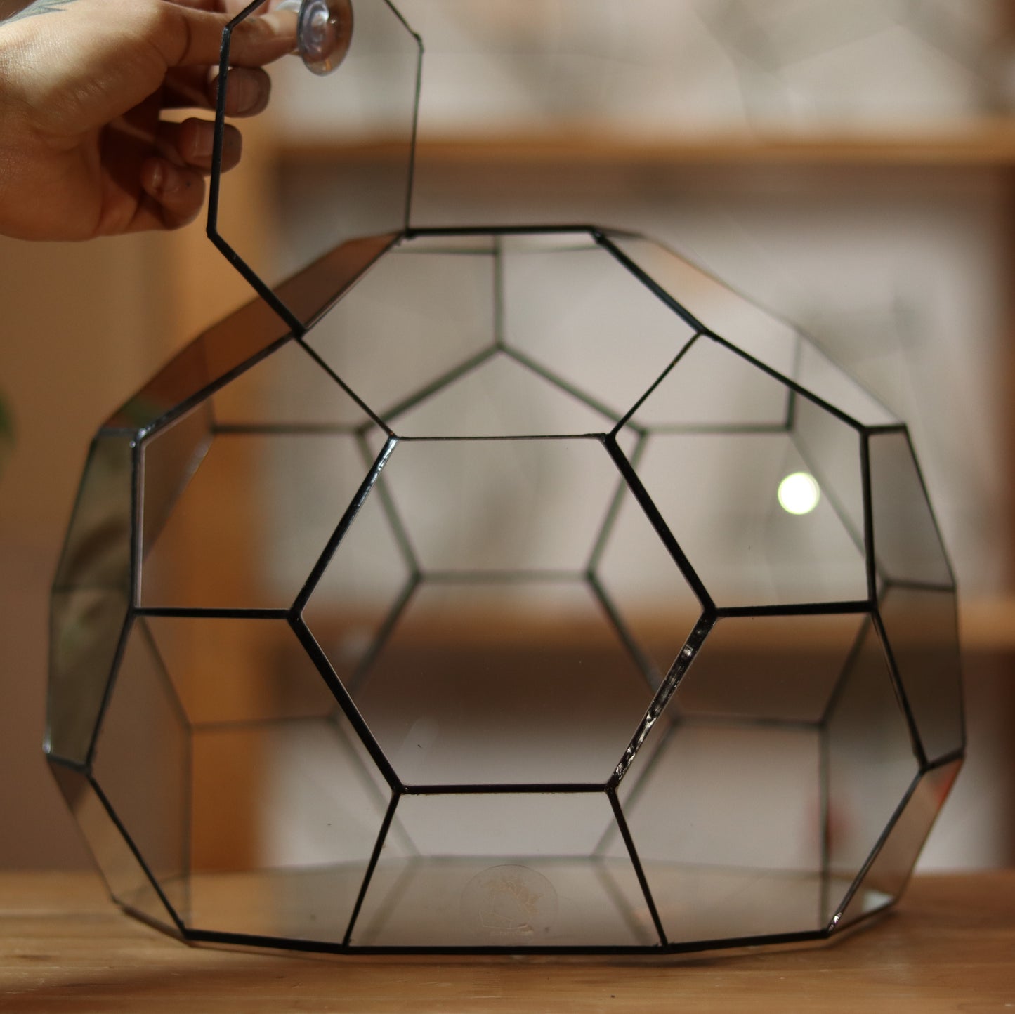 Geodome - Geometric terrarium
