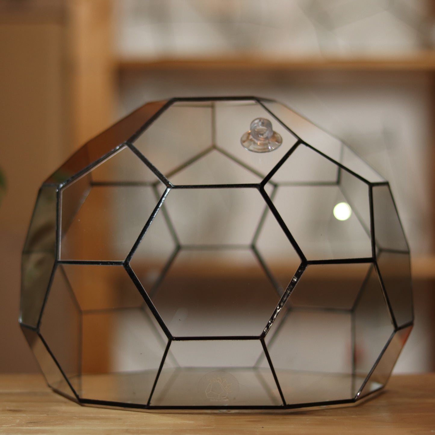 Geodome - Geometric terrarium