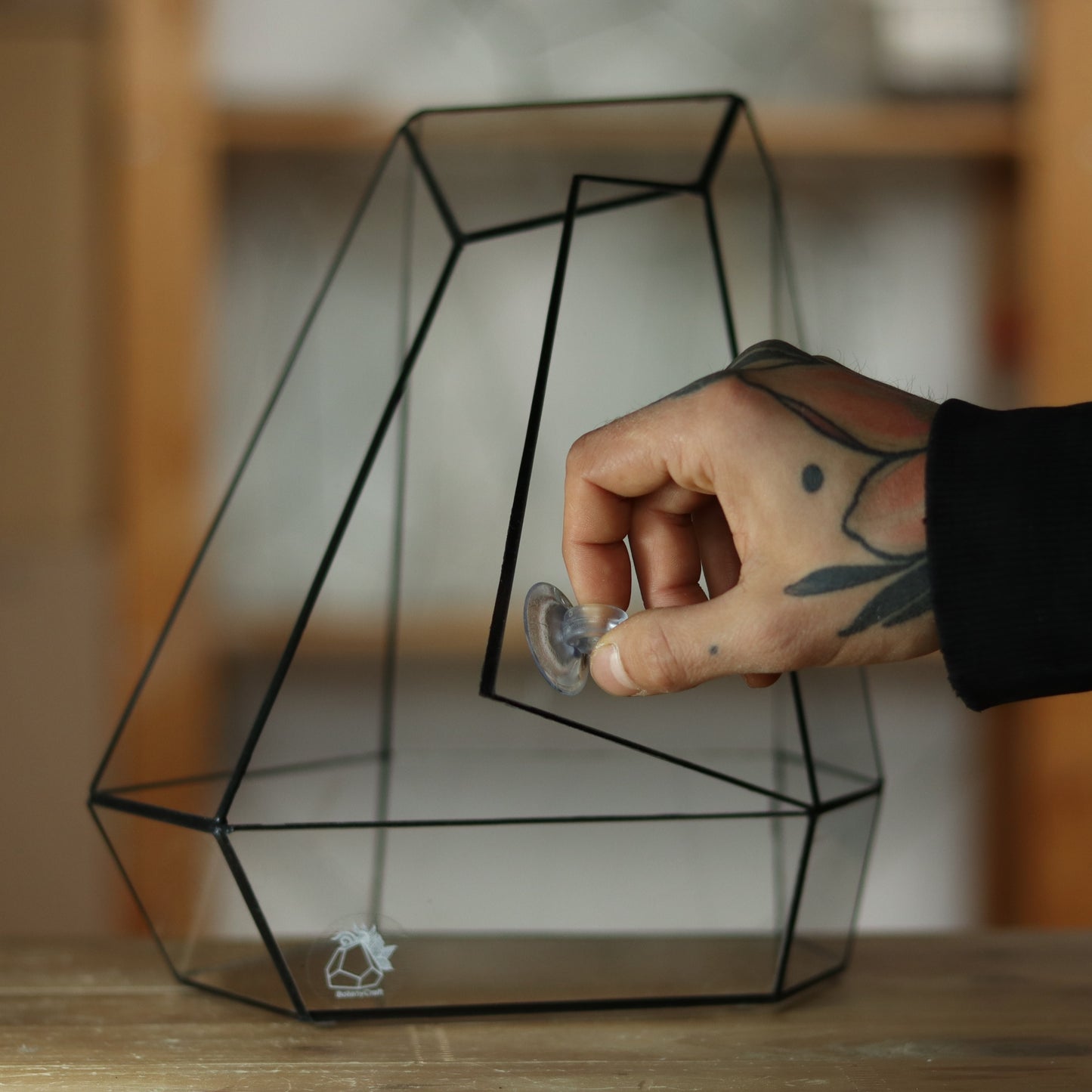 Citrin - Geometric terrarium