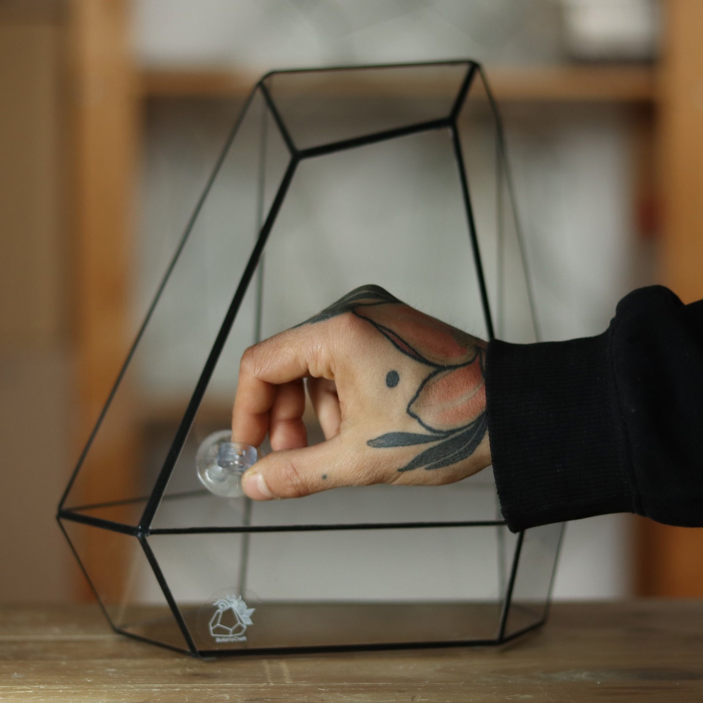 Citrin - Geometric terrarium
