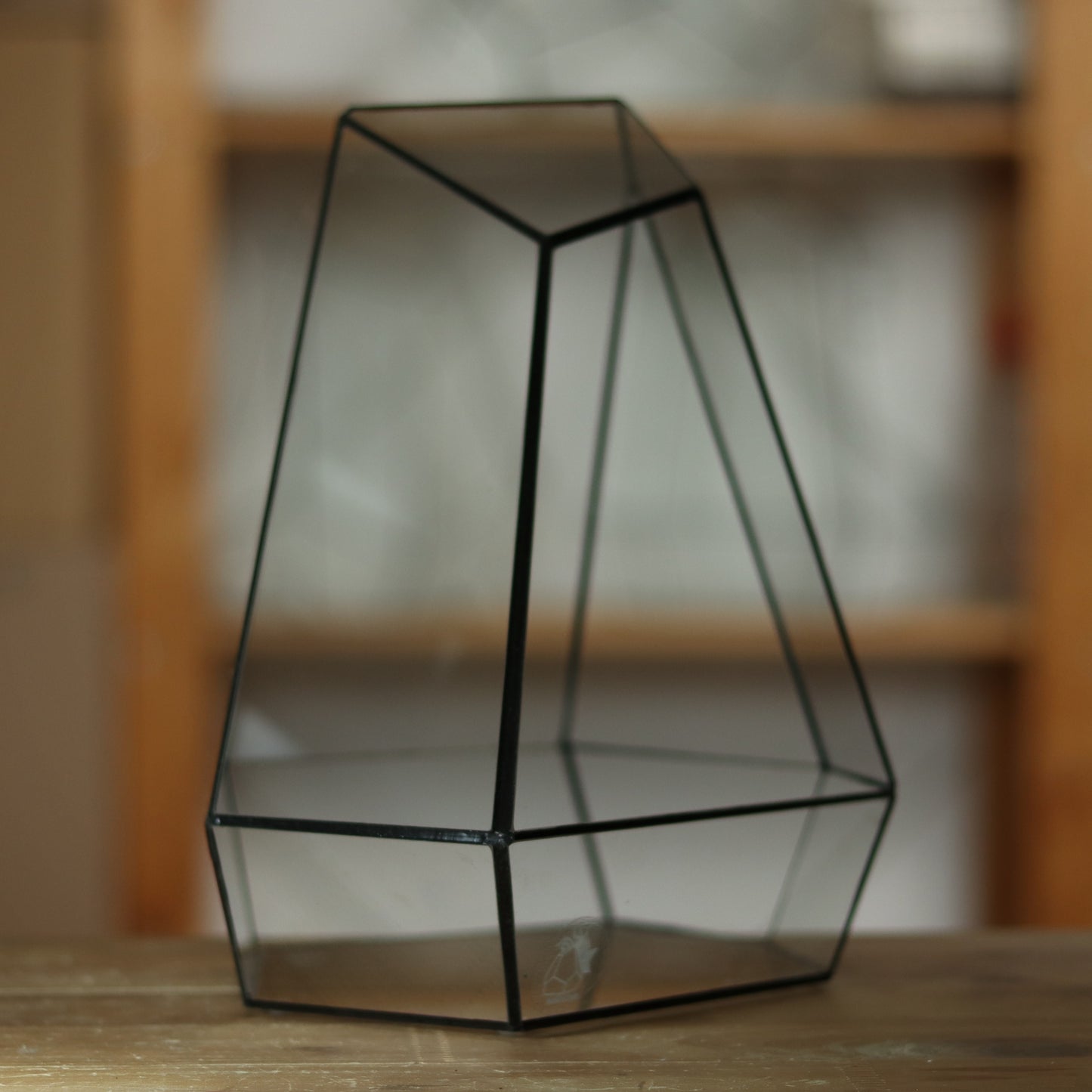 Citrin - Geometric terrarium