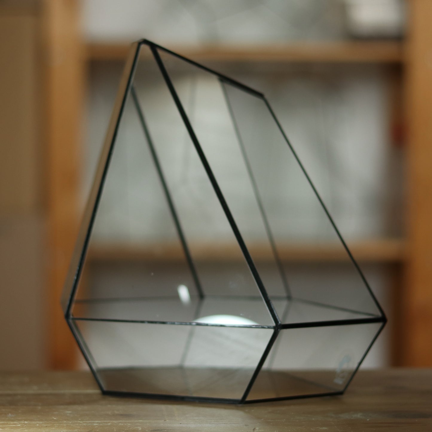 Citrin - Geometric terrarium