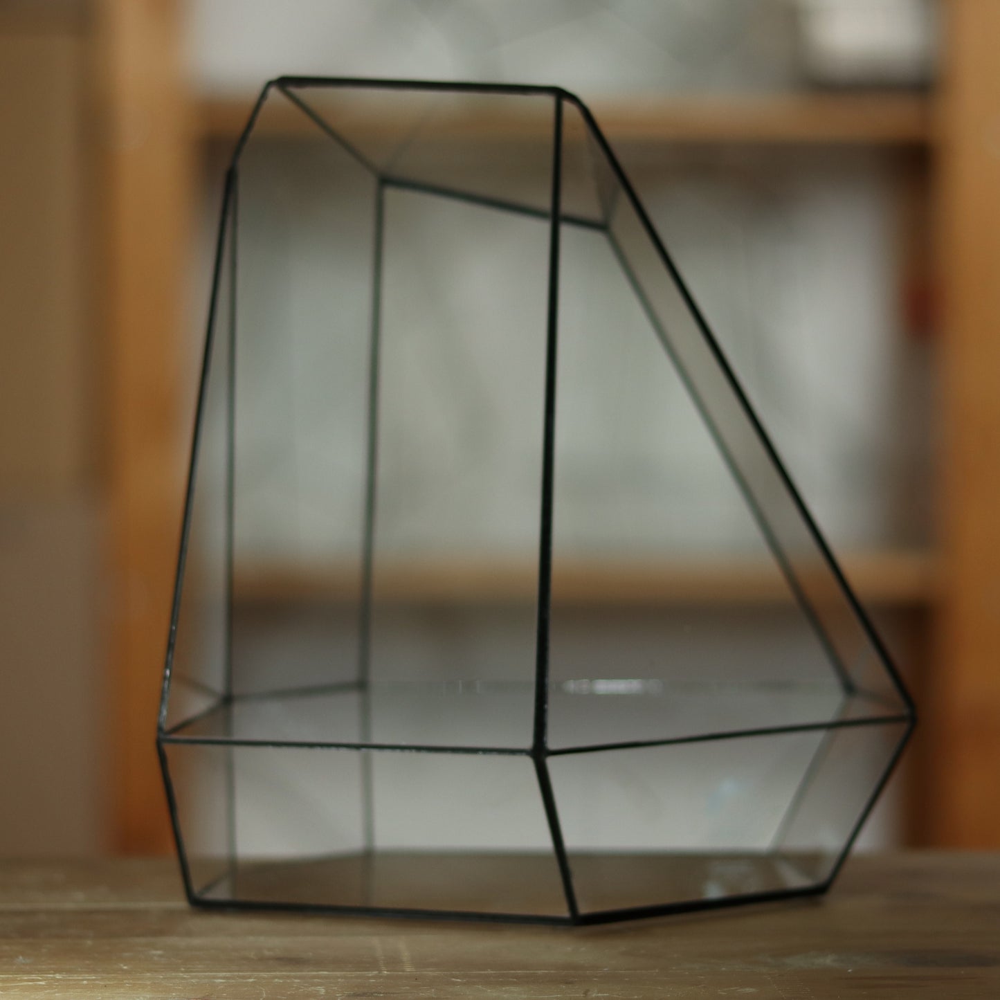Citrin - Geometric terrarium