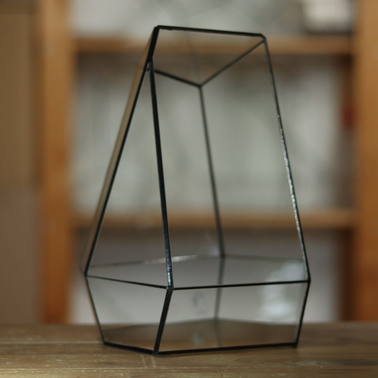Citrin - Geometric terrarium