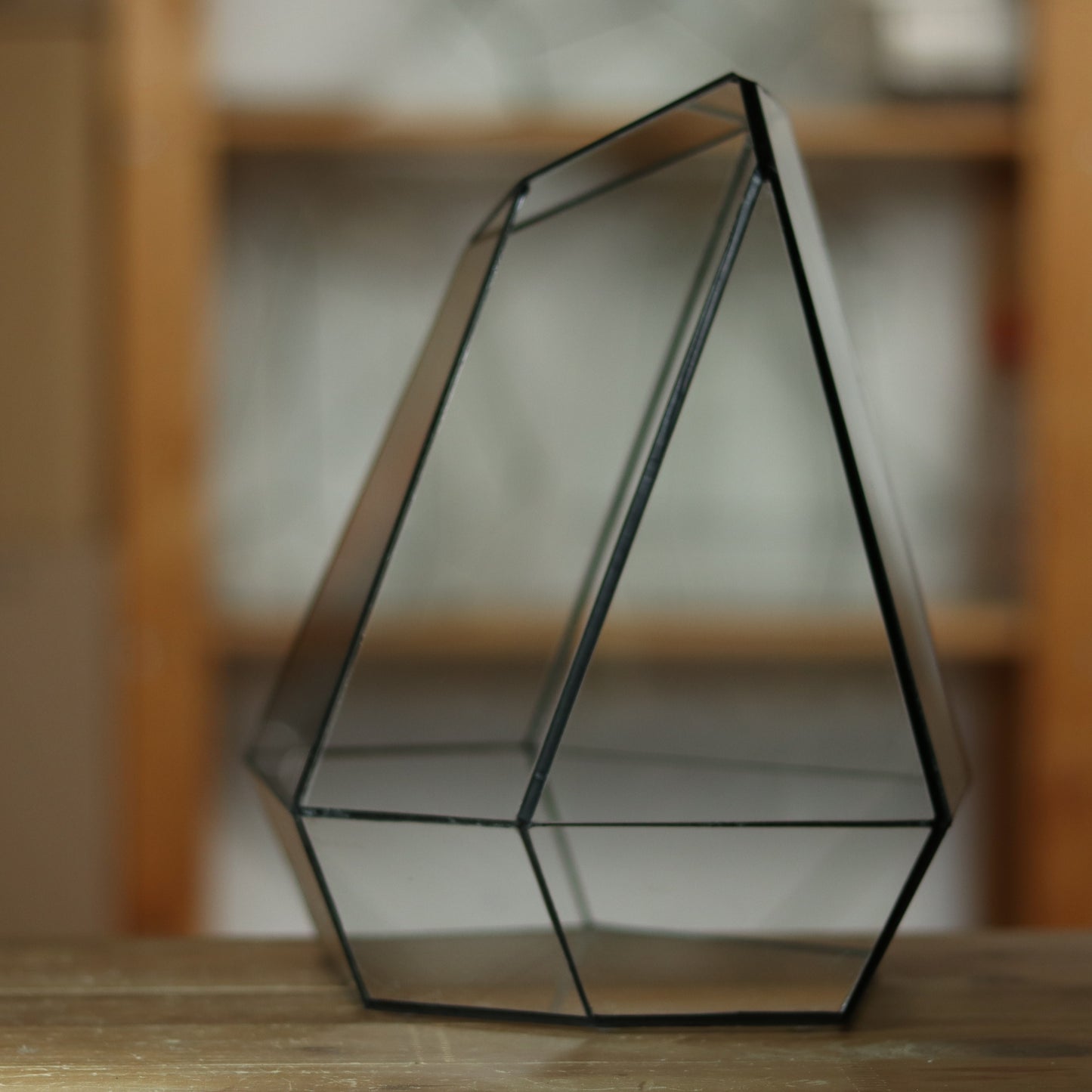 Citrin - Geometric terrarium