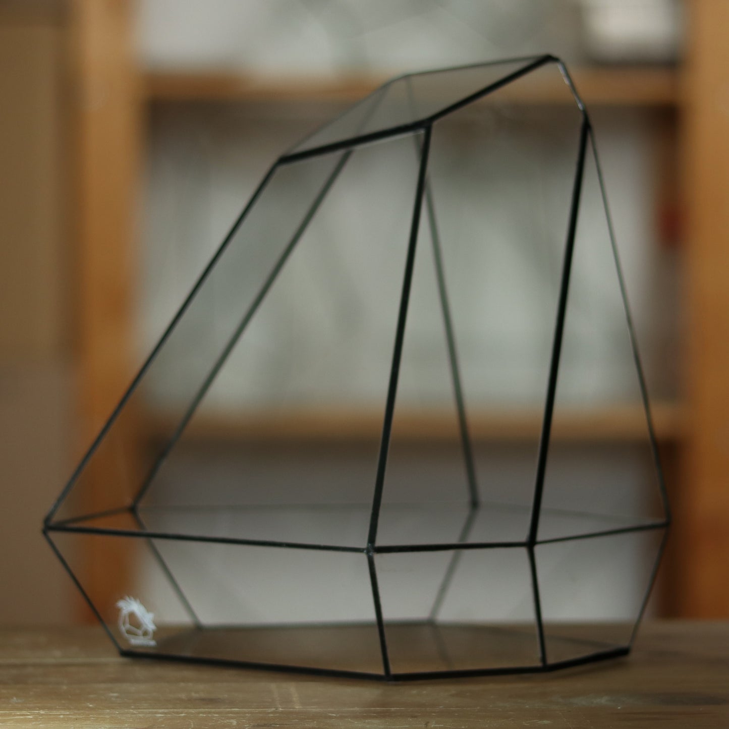 Citrin - Geometric terrarium