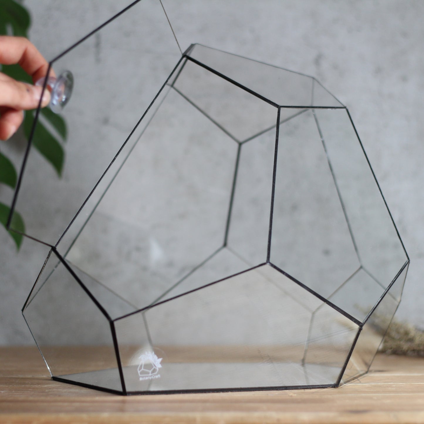 Diamond - Geometric Terrarium