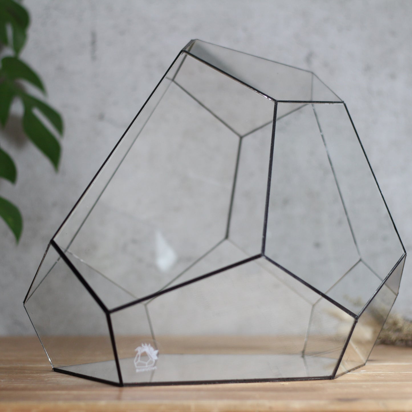 Diamond - Geometric Terrarium