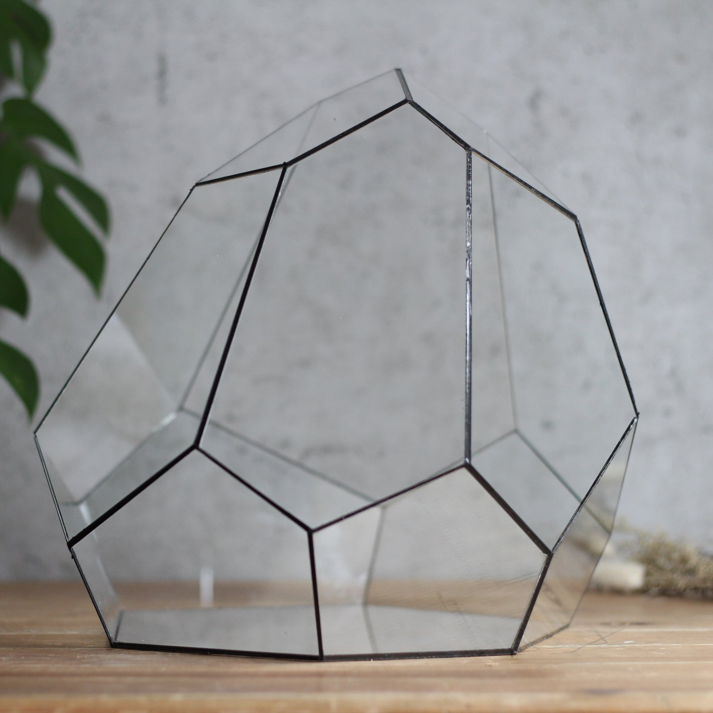 Diamond - Geometric Terrarium