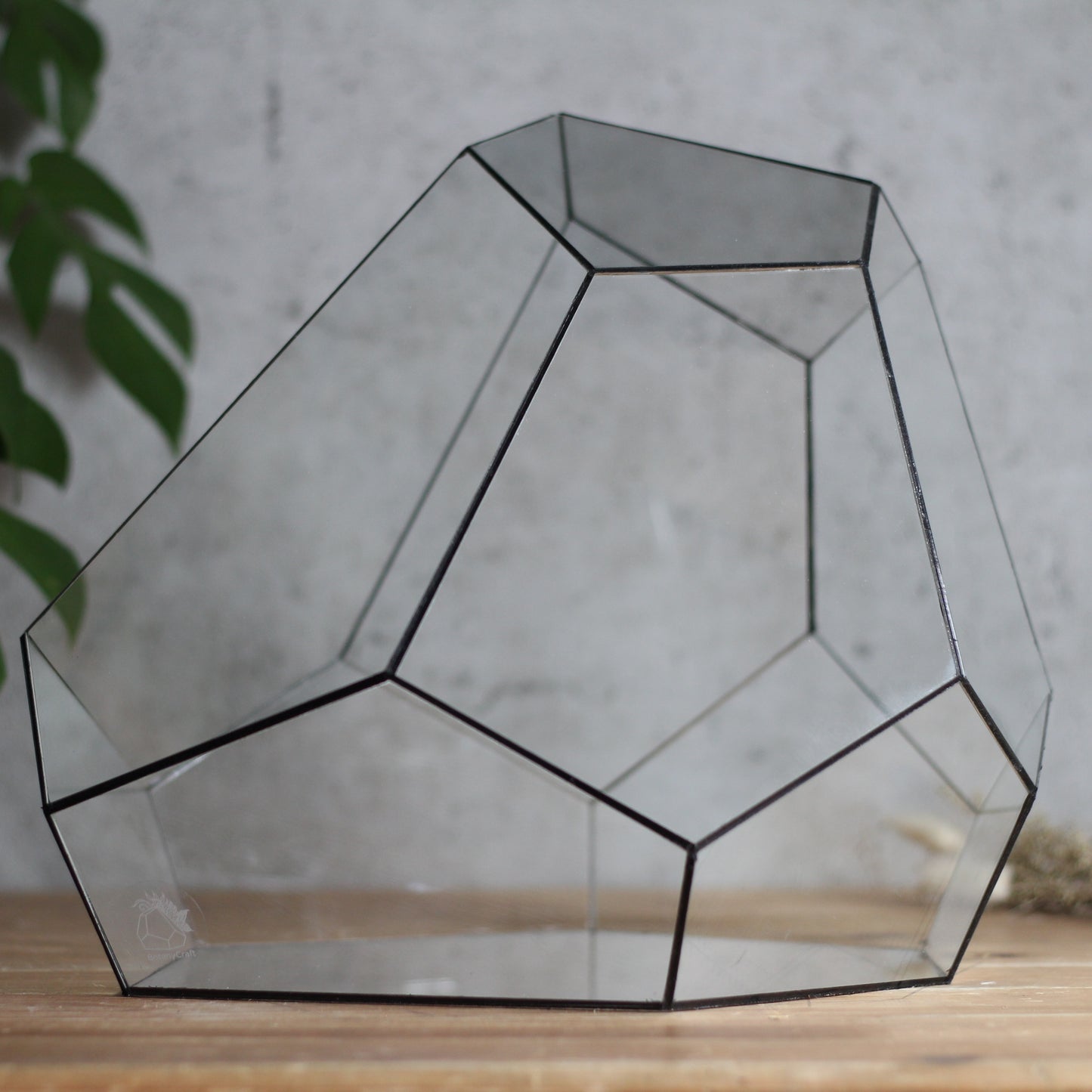 Diamond - Geometric Terrarium