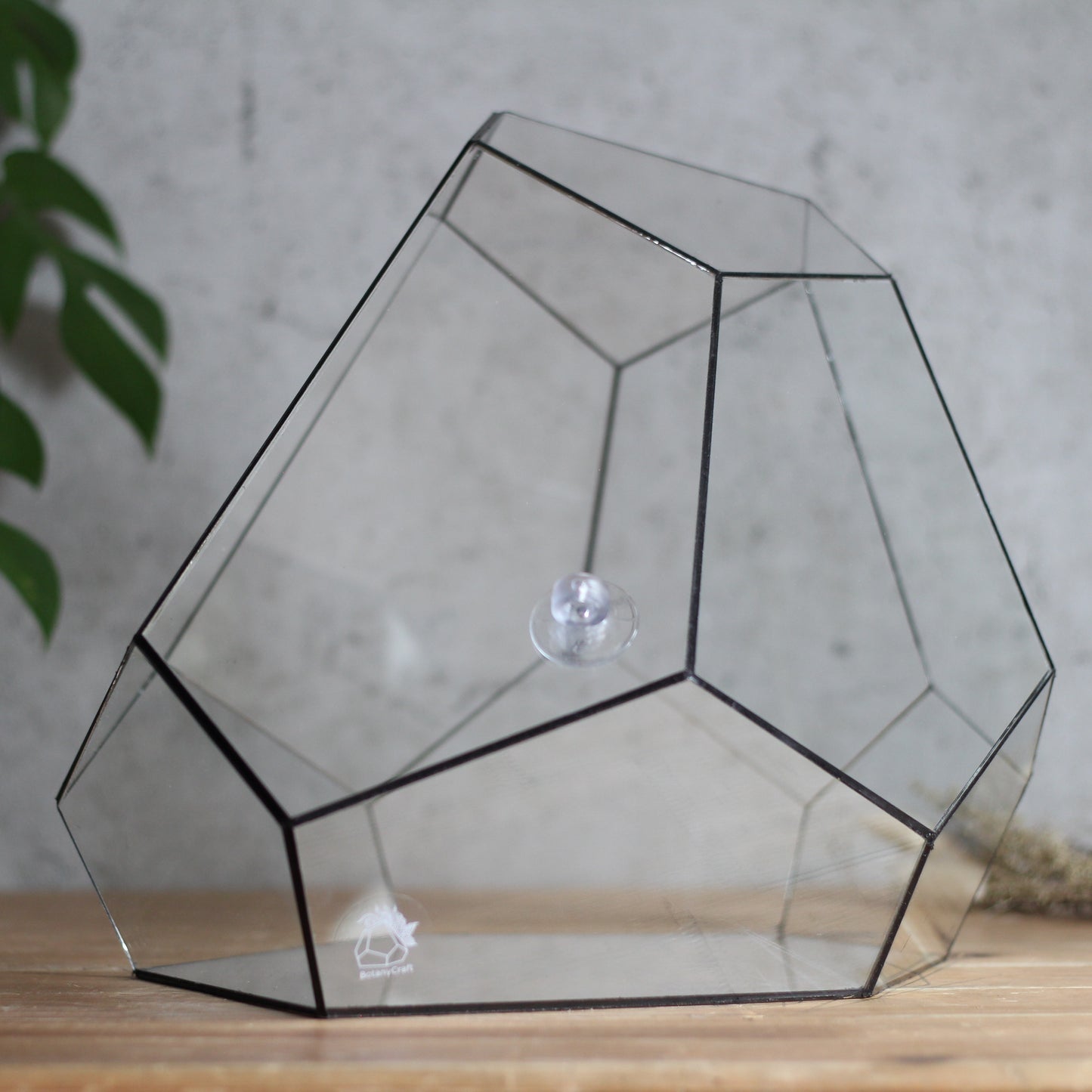 Diamond - Geometric Terrarium