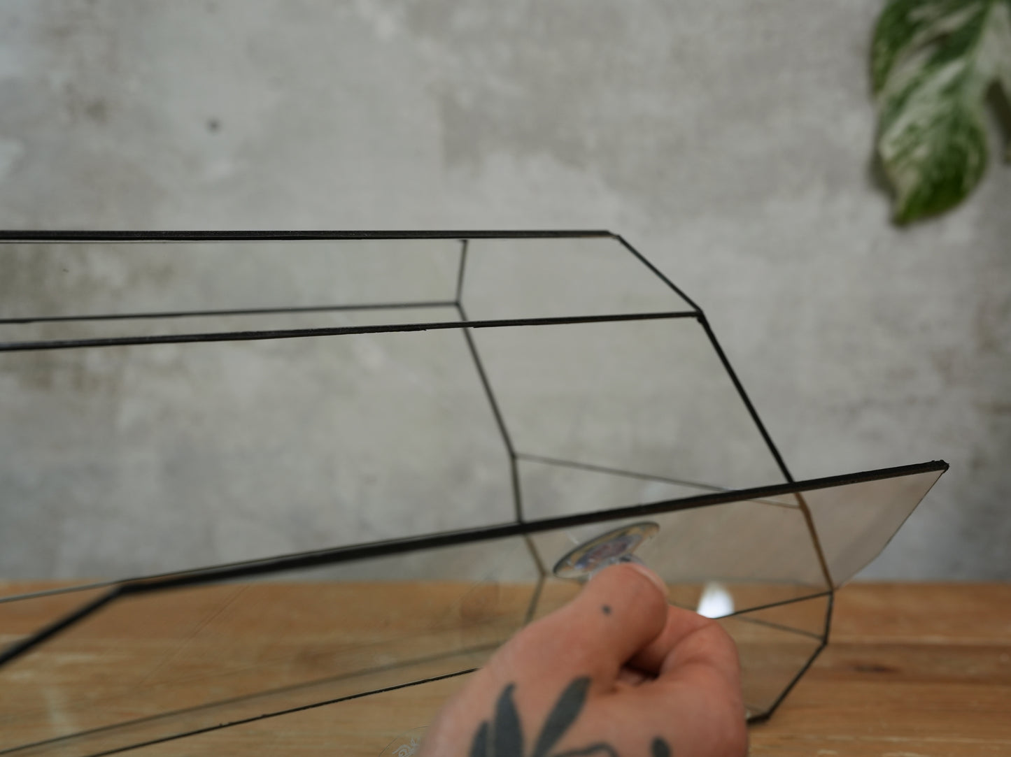 Amethyst - Geometric terrarium