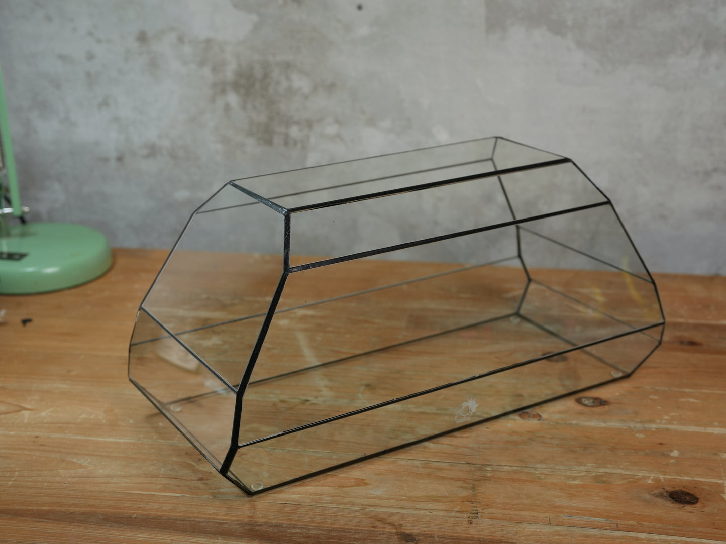 Amethyst - Geometric terrarium