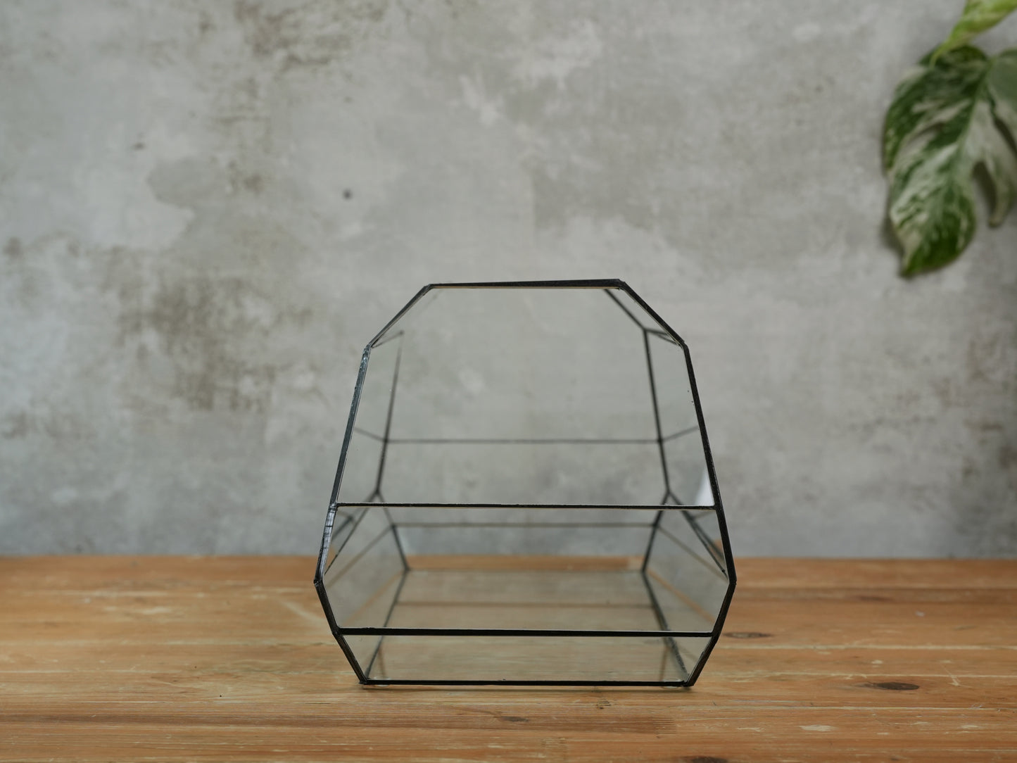 Amethyst - Geometric terrarium