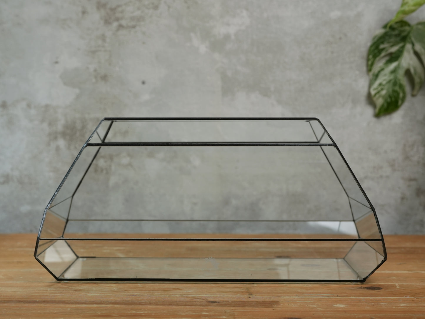 Amethyst - Geometric terrarium