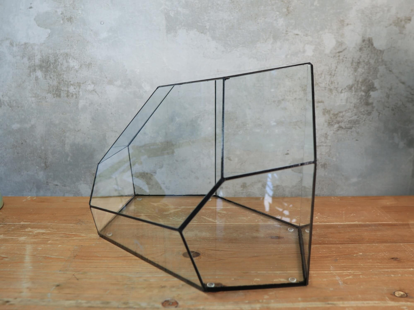 Zircon – Handmade geometric Terrarium
