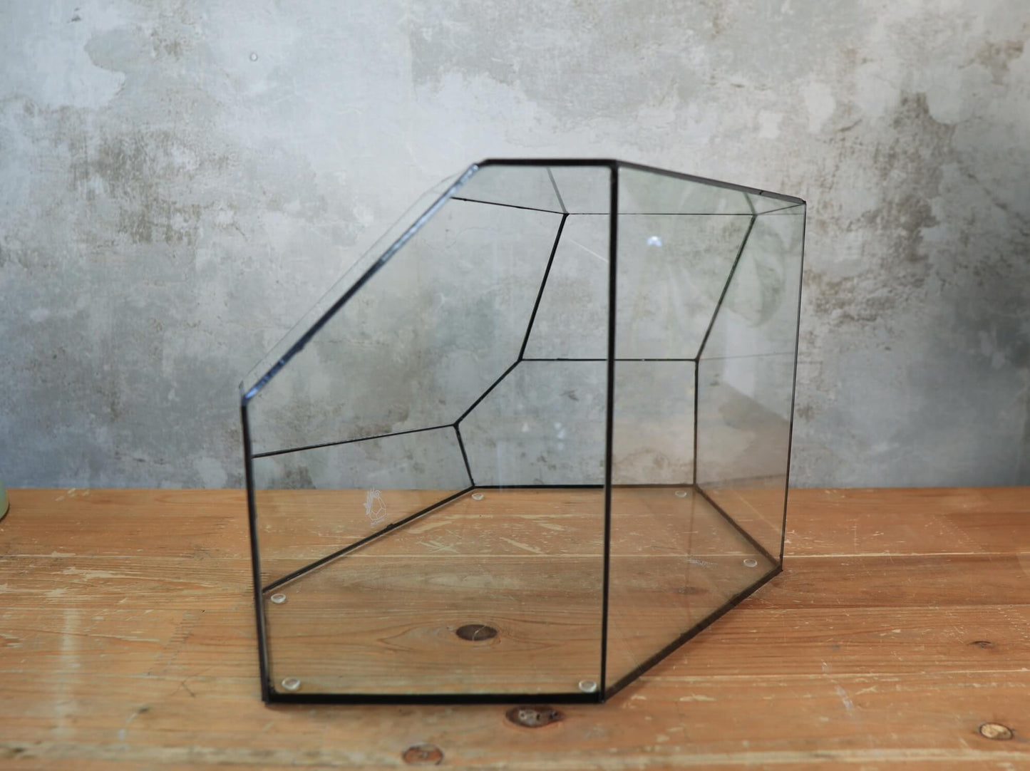 Zircon – Handmade geometric Terrarium