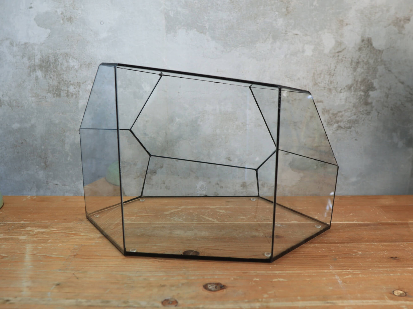 Zircon – Handmade geometric Terrarium