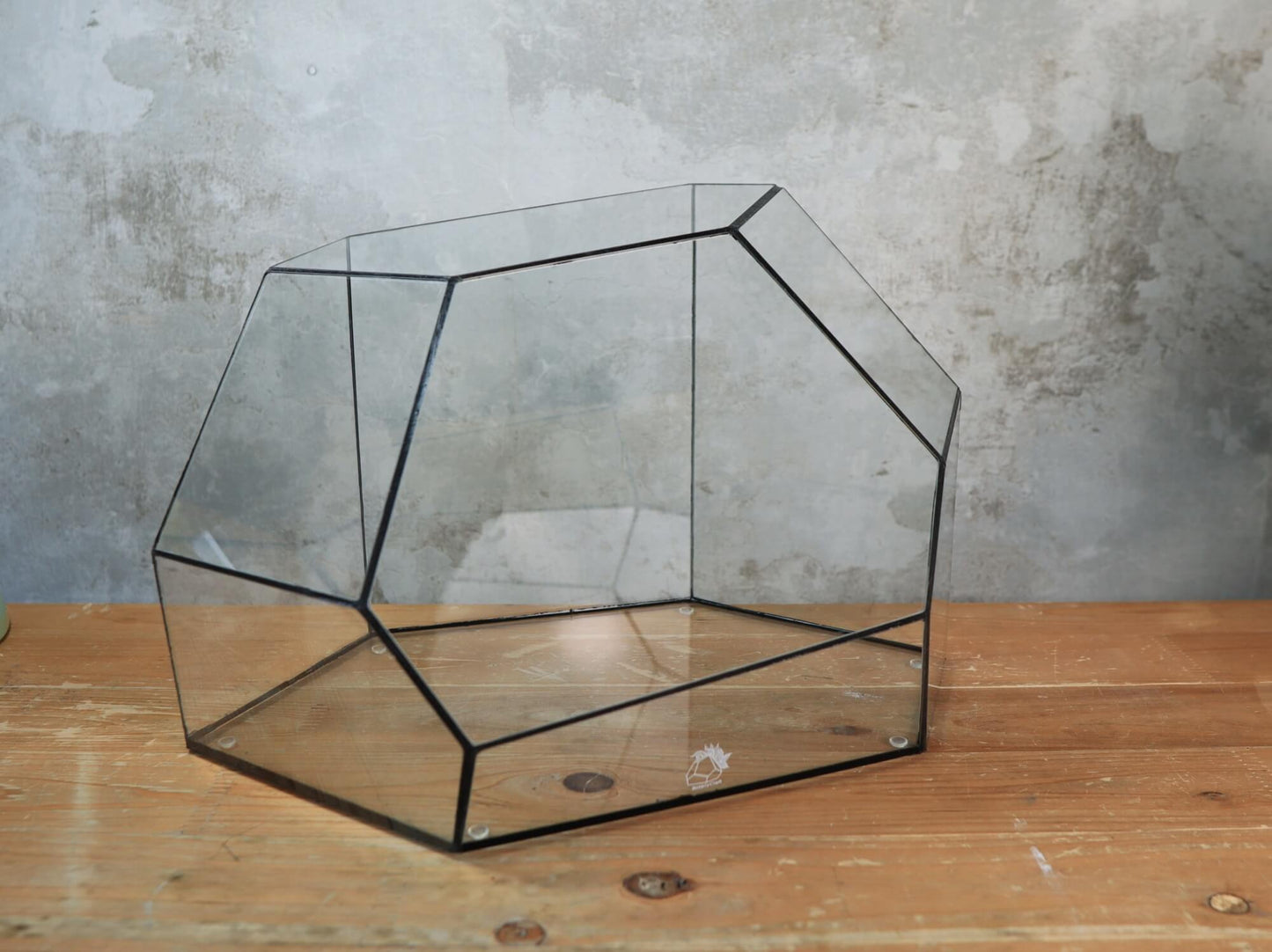 Zircon – Handmade geometric Terrarium