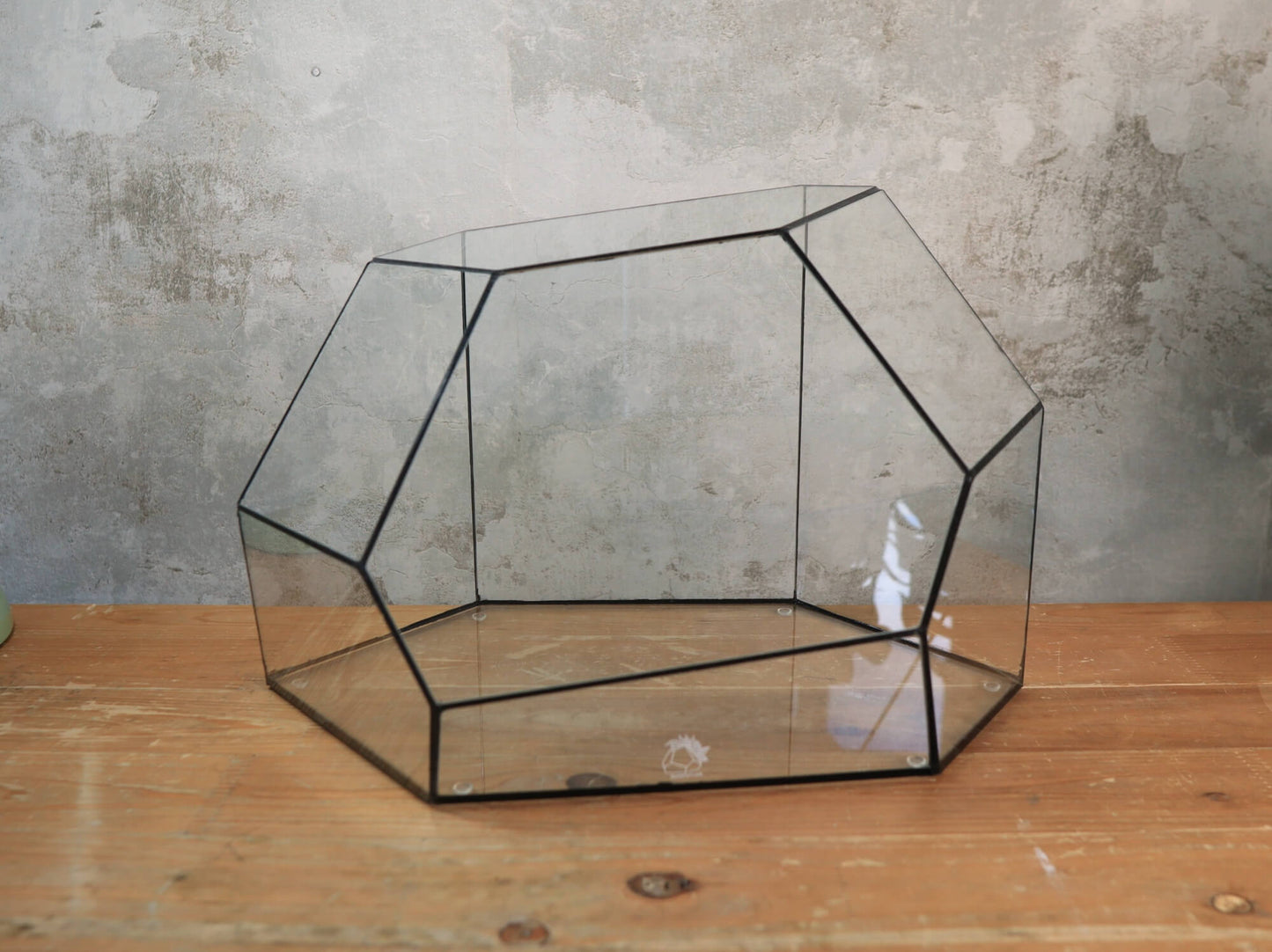 Zircon – Handmade geometric Terrarium