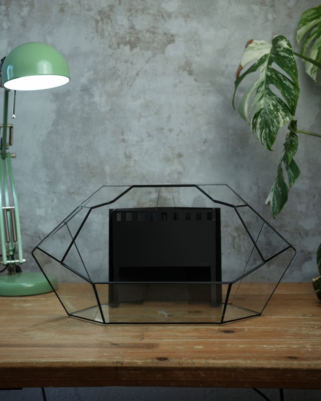 Ruby - Open front terrarium