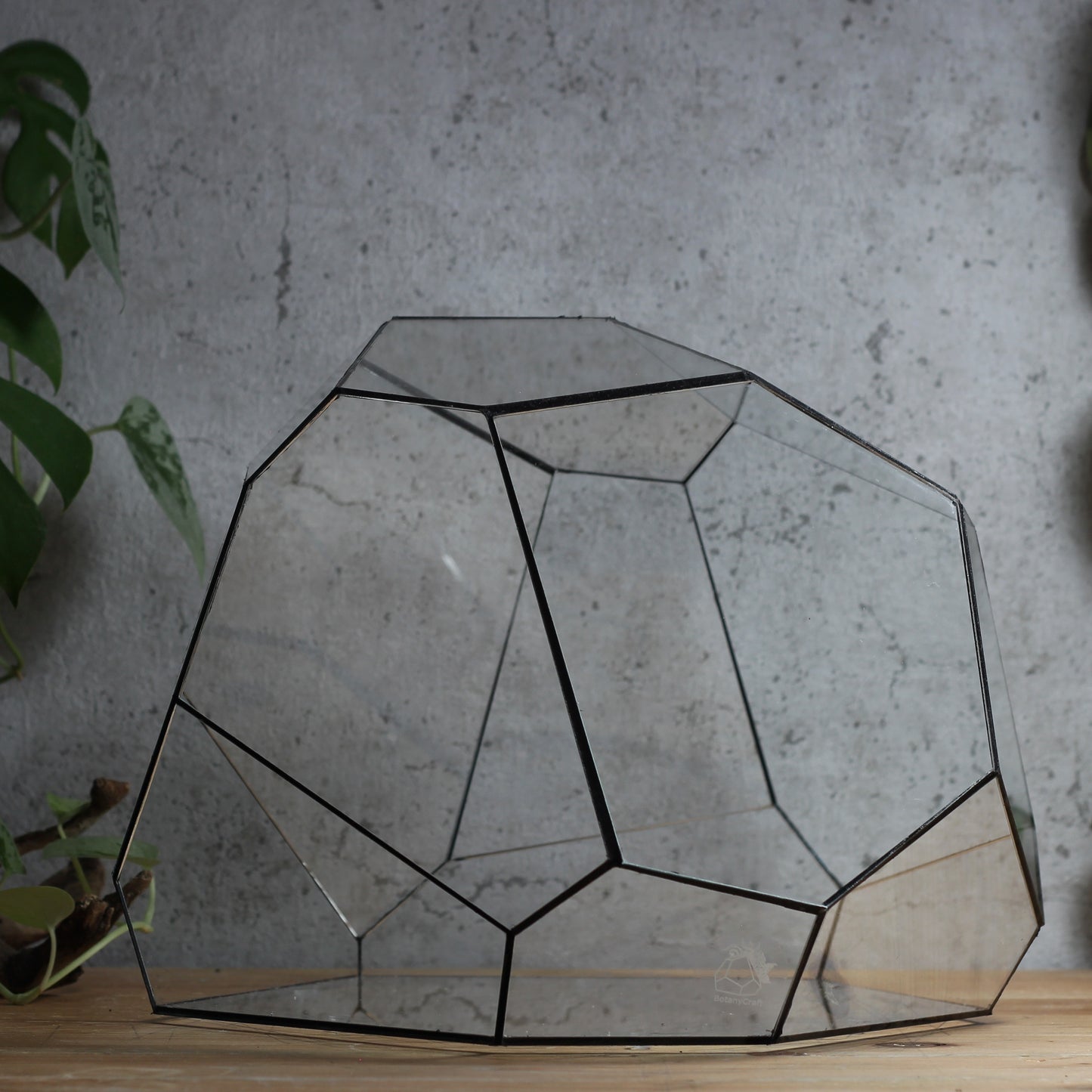 Granite - Geometric Terrarium