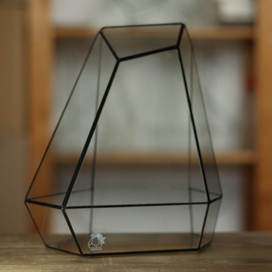 Citrin - Geometric terrarium