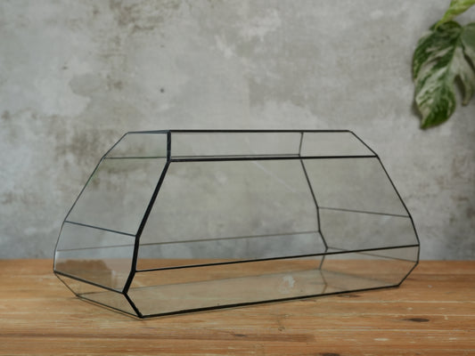 Amethyst - Geometric terrarium